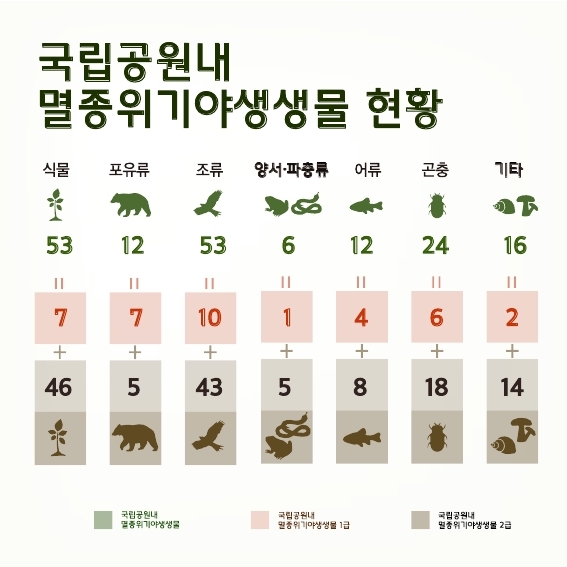 국립공원내 멸종위기야생생물 현황
식물 53 = 7+46
포유류 12 = 7+5
조류 53 = 10+43
양서·파충류 6 = 1+5
어류 12 = 4+8
곤충 24 = 6+18
기타 16 = 2+14
국립공원내 멸종위기야생생물, 국립공원내 멸종위기야생생물 1급, 국립공원내 멸종위기야생생물 2급