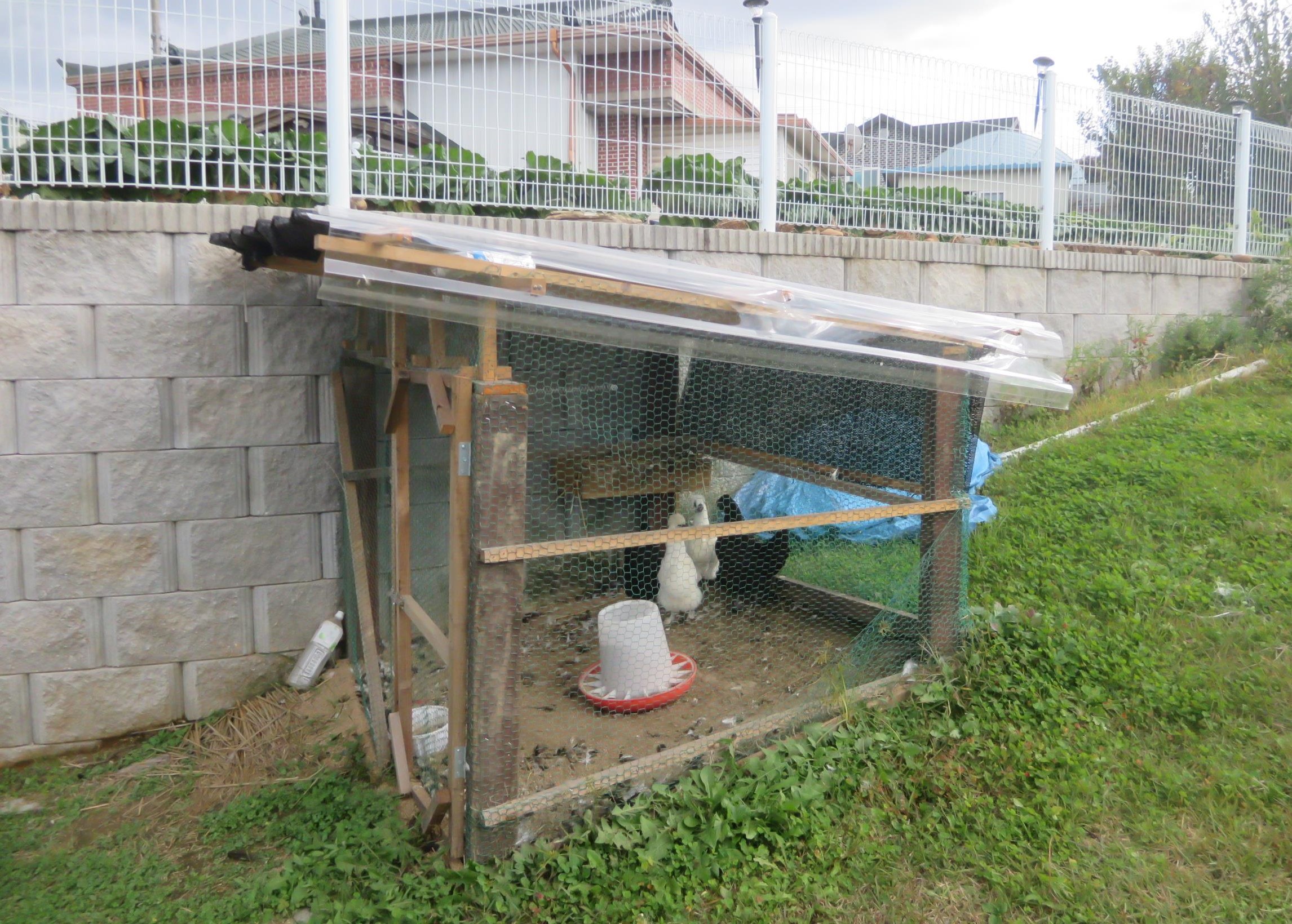 사진3. 경기도 여주시의 한강수계 매수토지에 닭장을 무단 설치하여 적발한 현장