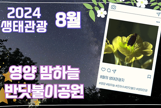 2024 생태관광 8월 영양 밤하늘 반딧불이공원 8월의 생태관광지 #영양 #밤하늘 #은하수 #반딧불이 #생태관광