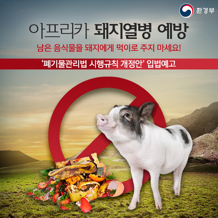 아프리카 돼지열병 예방, 남은 음식물을 돼지에게 먹이로 주지 마세요! '폐기물관리법 시행규칙 개정안' 입법예고