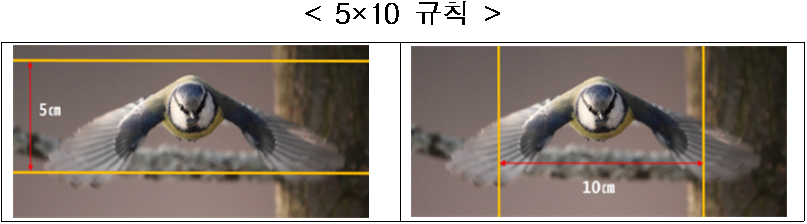 &lt; 5×10 규칙  /&gt;