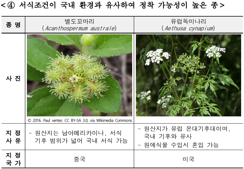    ȯ Ͽ  ɼ         (Acanthospermum australe)  ̳  (Aethusa cynapium)     ? 2016. Paul venter, CC BY-SA 3.0, via Wikimedia Commons.        -  Ƹ޸ī̳,    о     -   ´Ĵ̸,  Ŀ    - Ĺ Խ ȥ         ߱  ̱