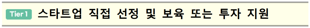 스타트업 직접 선정 및 보육 또는 투자 지원 