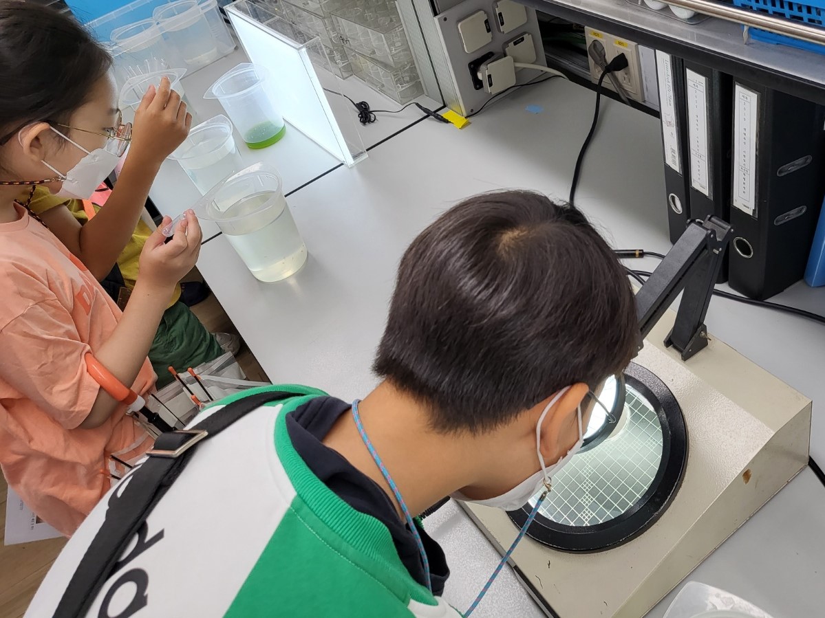 지난 9월 2일 한강유역환경청에서 열린 환경 꿈나무 육성을 위한 실험실 참여 교육 프로그램에서 나룰초등학교 학생들이 물벼룩을 관찰하고 있다.