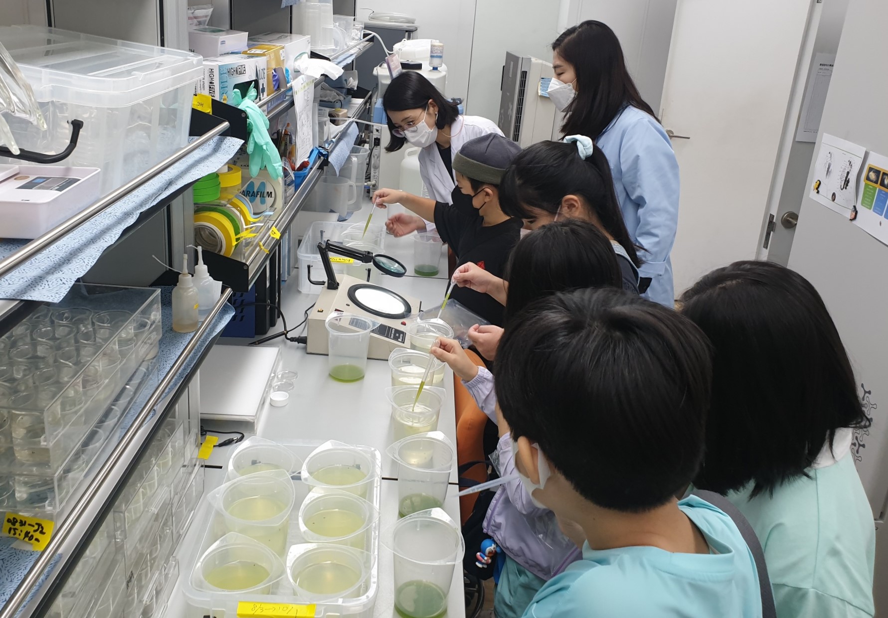지난 9월 2일 한강유역환경청에서 열린 환경 꿈나무 육성을 위한 실험실 참여 교육 프로그램에서 나룰초등학교 학생들이 물벼룩 먹이주기 체험을 하고 있다.