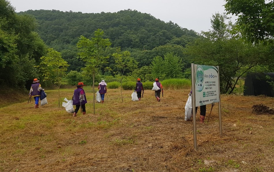 2020년 6월 29일, 경기도 광주시 금사리 주민들이 마을 수변녹지 정화 활동을 펼치고 있다.