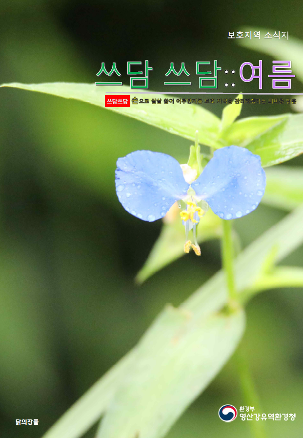 보호지역 소식지 쓰담쓰담 :: 여름 쓰담쓰담 손으로 살살 쓸어 어루만지듯 보호 지역을 관리하겠다는 의미를 담음 닭의장풀 환경부 영산강유역환경청