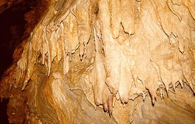 옥굴 내에 발달하는 유석과 종유석 섬네일 이미지 1