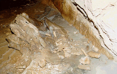 연포굴 내에서 발견되는 훼손된 동굴생성물들 큰이미지