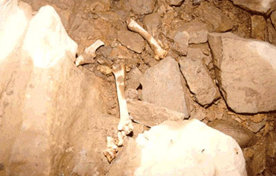 두룬이굴 2에서 관찰되는 야생동굴의 섭식흔적 큰이미지