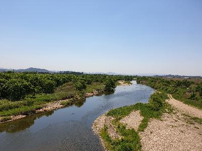 [습지보호지역] 황룡강 장록습지 섬네일 이미지 2